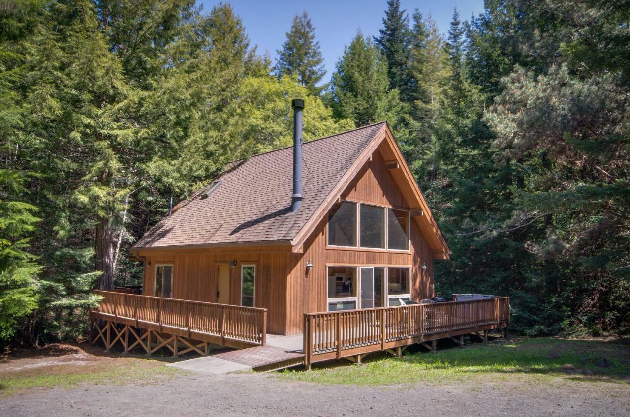 Redwood Rest *
